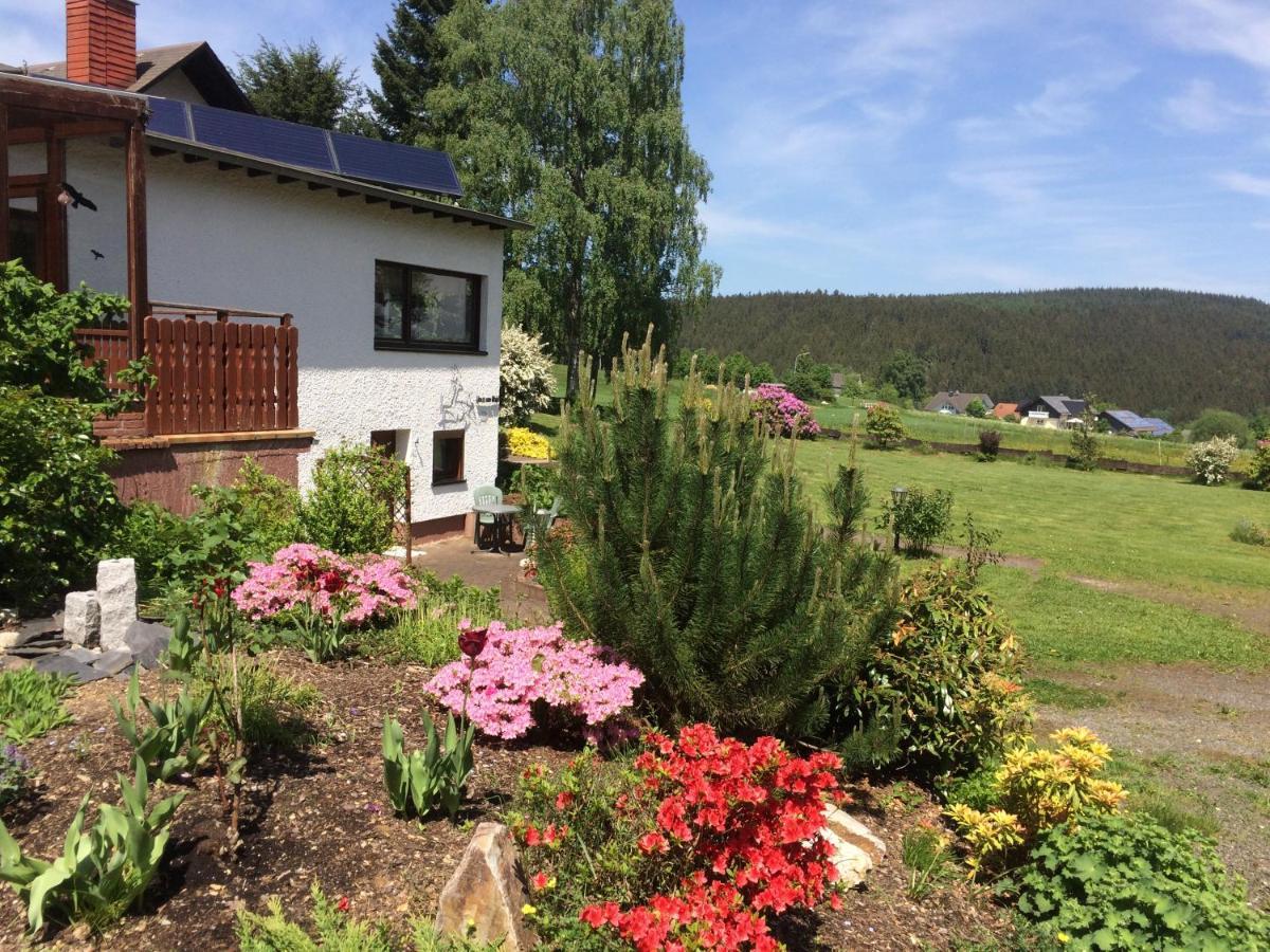 Langweiler Haus Am Wald - Urlaub Am Nationalparkアパートメント エクステリア 写真