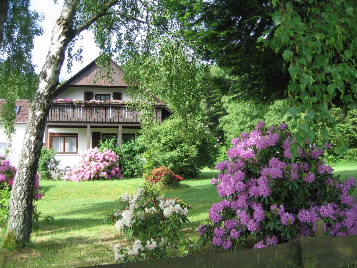Langweiler Haus Am Wald - Urlaub Am Nationalparkアパートメント エクステリア 写真